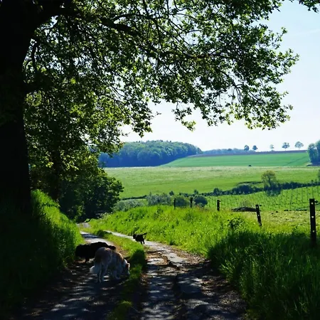 Du Chateau De Leignon