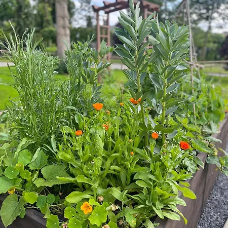 Pensionat Du Chateau De Leignon